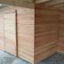 holzbau 37